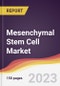 Mesenchymal Stem Cell Market Report: Trends, Forecast and Competitive Analysis to 2030 - Product Image