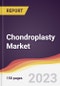 Chondroplasty Market Report: Trends, Forecast and Competitive Analysis to 2030 - Product Thumbnail Image