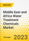 Middle East and Africa Water Treatment Chemicals Market: A Regional and Country Level Analysis, 2023-2033 - Product Thumbnail Image