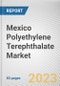 Mexico Polyethylene Terephthalate Market By Type, By Application: Opportunity Analysis and Industry Forecast, 2023-2032 - Product Thumbnail Image