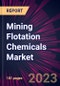 Mining Flotation Chemicals Market 2024-2028 - Product Thumbnail Image