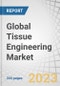 Global Tissue Engineering Market by Product (Scaffolds (Collagen, Stem Cell), Tissue Grafts (Allograft, Autograft, Xenograft)), Material (Biological, Synthetic), Application (Orthopedics, Dermatology, Wound Care, Cardiovascular) - Forecast to 2028 - Product Thumbnail Image