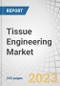 Tissue Engineering Market by Product (Scaffolds (Collagen, Stem Cell), Tissue Grafts (Allograft, Autograft, Xenograft)), Material (Biological, Synthetic), Application (Orthopedics, Dermatology, Wound Care, Cardiovascular) - Forecast to 2028 - Product Thumbnail Image