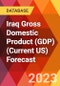 Iraq Gross Domestic Product (GDP) (Current US) Forecast - Product Thumbnail Image