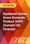 Equatorial Guinea Gross Domestic Product (GDP) (Current US) Forecast - Product Thumbnail Image