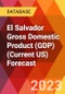 El Salvador Gross Domestic Product (GDP) (Current US) Forecast - Product Thumbnail Image
