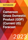 Cameroon Gross Domestic Product (GDP) (Current US) Forecast- Product Image