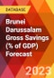 Brunei Darussalam Gross Savings (% of GDP) Forecast - Product Thumbnail Image