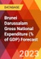 Brunei Darussalam Gross National Expenditure (% of GDP) Forecast - Product Thumbnail Image