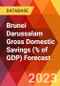 Brunei Darussalam Gross Domestic Savings (% of GDP) Forecast - Product Thumbnail Image