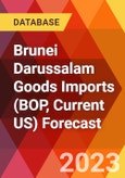 Brunei Darussalam Goods Imports (BOP, Current US) Forecast- Product Image