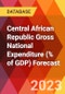 Central African Republic Gross National Expenditure (% of GDP) Forecast - Product Image