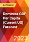 Dominica GDP Per Capita (Current US) Forecast - Product Image