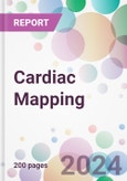 Cardiac Mapping Market Analysis & Forecast to 2024-2034- Product Image