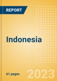 Indonesia - Enterprise ICT- Product Image