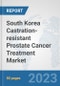 South Korea Castration-resistant Prostate Cancer Treatment Market: Prospects, Trends Analysis, Market Size and Forecasts up to 2030 - Product Image