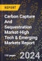 2024 Global Forecast for Carbon Capture And Sequestration (Ccs) Market (2025-2030 Outlook)-High Tech & Emerging Markets Report - Product Image