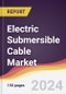Electric Submersible Cable Market Report: Trends, Forecast and Competitive Analysis to 2030 - Product Thumbnail Image