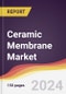 Ceramic Membrane Market Report: Trends, Forecast and Competitive Analysis to 2030 - Product Thumbnail Image