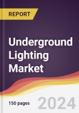 Underground Lighting Market Report: Trends, Forecast and Competitive Analysis to 2030- Product Image