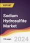 Sodium Hydrosulfite Market Report: Trends, Forecast and Competitive Analysis to 2030 - Product Thumbnail Image