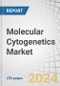 Molecular Cytogenetics Market by Product (Kits, Reagents, Probes, Instrument, Software, Services), Technique (FISH, CISH, Comparative Genomic Hybridization (Array-based, Standard)), Application (Cancer, Genetics Disorders) - Forecast to 2028 - Product Thumbnail Image