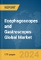Esophagoscopes and Gastroscopes Global Market Report 2024 - Product Thumbnail Image