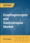 Esophagoscopes and Gastroscopes Market Report 2025 - Product Image