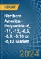 Northern America - Polyamide -6, -11, -12, -6,6, -6,9, -6,10 or -6,12 - Market Analysis, Forecast, Size, Trends and Insights - Product Image