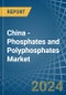 China - Phosphates and Polyphosphates - Market Analysis, Forecast, Size, Trends and Insights - Product Thumbnail Image