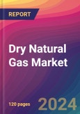 Dry Natural Gas Market Size, Market Share, Application Analysis, Regional Outlook, Growth Trends, Key Players, Competitive Strategies and Forecasts, 2023-2031- Product Image