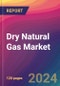 Dry Natural Gas Market Size, Market Share, Application Analysis, Regional Outlook, Growth Trends, Key Players, Competitive Strategies and Forecasts, 2023-2031 - Product Image