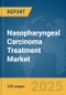 Nasopharyngeal Carcinoma Treatment Market Report 2025 - Product Thumbnail Image