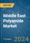 Middle East Polyamide - Market Share Analysis, Industry Trends & Statistics, Growth Forecasts 2017 - 2029 - Product Image