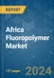 Africa Fluoropolymer - Market Share Analysis, Industry Trends & Statistics, Growth Forecasts 2017 - 2029 - Product Thumbnail Image