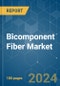 Bicomponent Fiber - Market Share Analysis, Industry Trends & Statistics, Growth Forecasts 2019 - 2029 - Product Image