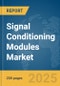 Signal Conditioning Modules Market Report 2025 - Product Thumbnail Image