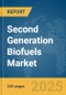 Second Generation Biofuels Market Report 2025 - Product Thumbnail Image