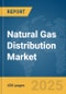 Natural Gas Distribution Market Report 2025 - Product Image