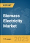 Biomass Electricity Market Report 2025 - Product Image