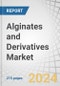 Alginates and Derivatives Market by Type (Sodium Alginate, Calcium Alginate, Potassium Alginate, PGA), Application (Food & Beverages, Industrial, Pharmaceuticals), Form (Powder, Liquid, Gel Form) and Region - Forecast to 2028 - Product Thumbnail Image