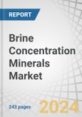 Brine Concentration Minerals Market by Type (Sodium derivatives, Magnesium derivatives, Calcium derivatives, Potassium dereivatives), Technology (Solar evaporation, NF-RO-MF, Osmotically assisted RO), Application, and Region - Forecast to 2029- Product Image