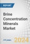 Brine Concentration Minerals Market by Type (Sodium derivatives, Magnesium derivatives, Calcium derivatives, Potassium dereivatives), Technology (Solar evaporation, NF-RO-MF, Osmotically assisted RO), Application, and Region - Forecast to 2029 - Product Thumbnail Image