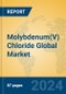 Molybdenum(V) Chloride Global Market Insights 2024, Analysis and Forecast to 2029, by Manufacturers, Regions, Technology, Application - Product Image