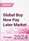 Global Buy Now Pay Later Business and Investment Opportunities Databook - 75+ KPIs on BNPL Market Size, End-Use Sectors, Market Share, Product Analysis, Business Model, Demographics - Q2 2024 Update - Product Image