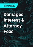 Damages, Interest & Attorney Fees- Product Image