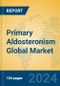 Primary Aldosteronism Global Market Insights 2024, Analysis and Forecast to 2029, by Manufacturers, Regions, Technology, Application - Product Thumbnail Image