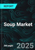 Soup Market Report by Type, Category, Distribution Channel, Countries and Company Analysis 2025-2033- Product Image