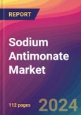 Sodium Antimonate Market Size, Market Share, Application Analysis, Regional Outlook, Growth Trends, Key Players, Competitive Strategies and Forecasts, 2023 to 2031- Product Image