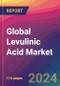 Global Levulinic Acid Market Size, Market Share, Application Analysis, Regional Outlook, Growth Trends, Key Players, Competitive Strategies and Forecasts, 2024 to 2032 - Product Image
